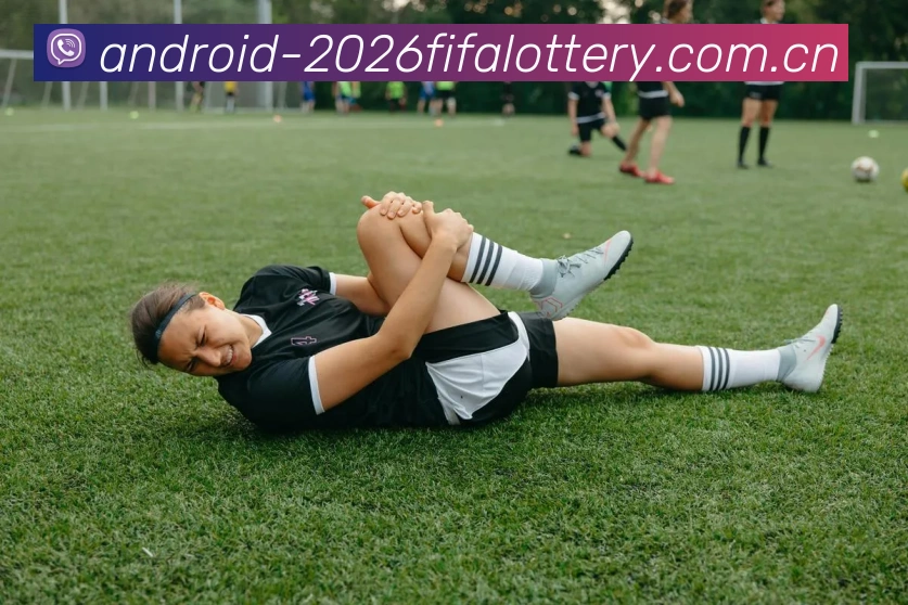 2026世界杯数据服务生态